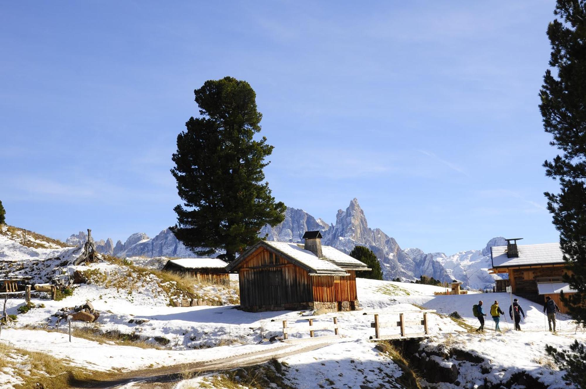 B&B B&Beautyfol Dolomites Adults Only Predazzo Ngoại thất bức ảnh